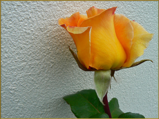 661622 (a): :1600x1200